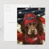 Carte Postale Cocker Spaniel Américain (Devant / Derrière)