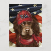 Carte Postale Cocker Spaniel Américain (Devant)