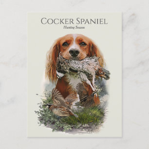 Carte Postale Cocker Spaniel avec perdrix gris