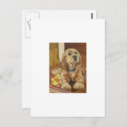 Carte Postale Cocker Spaniel Buff (Devant / Derrière)
