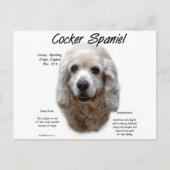 Carte Postale Cocker Spaniel (buff) (Devant)