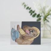 Carte Postale Cocker Spaniel chien (Debout devant)