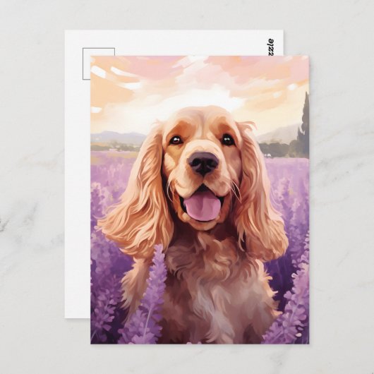 Carte Postale Cocker Spaniel dans le champ Lavender (Devant / Derrière)