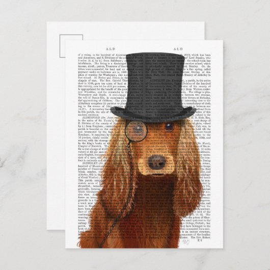 Carte Postale Cocker Spaniel, Hound officiel et Casquette (Devant / Derrière)