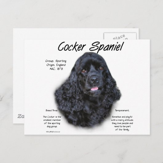 Carte Postale Cocker Spaniel (noir) Histoire Design (Devant / Derrière)