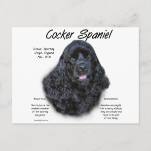 Carte Postale Cocker Spaniel (noir) Histoire Design