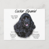 Carte Postale Cocker Spaniel (noir) Histoire Design (Devant)