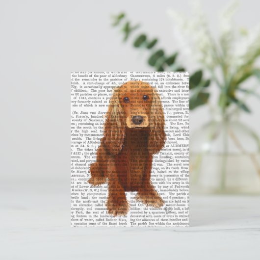 Carte Postale Cocker Spaniel Plain (Debout devant)