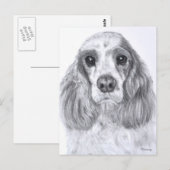 Carte Postale Cocker Spaniel Red White Art (Devant / Derrière)