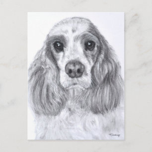 Carte Postale Cocker Spaniel Red White Art