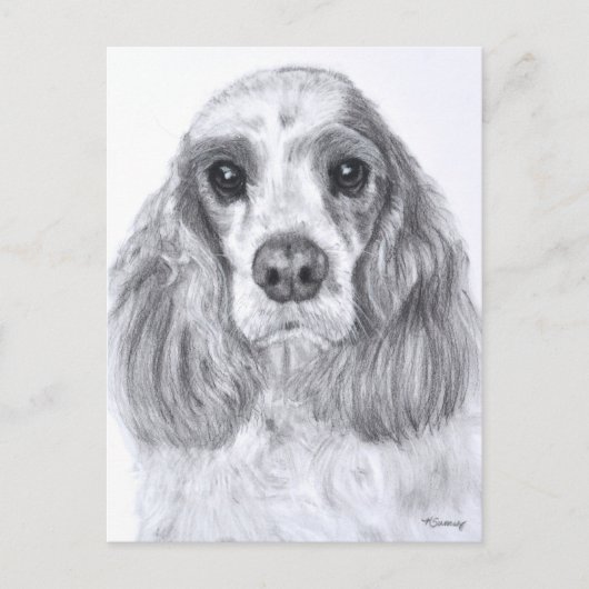 Carte Postale Cocker Spaniel Red White Art (Devant)