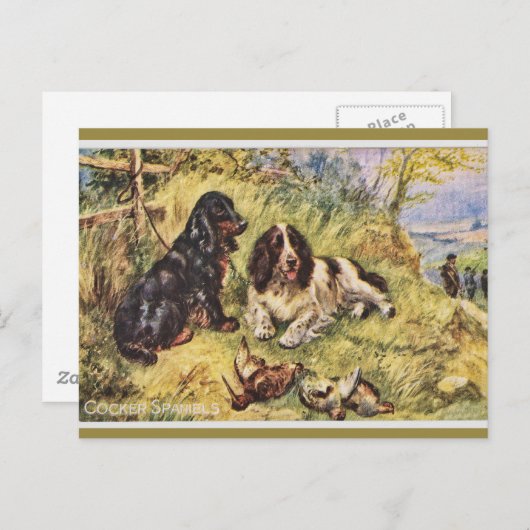 Carte Postale Cocker Spaniels (Devant / Derrière)