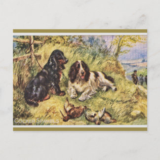 Carte Postale Cocker Spaniels