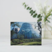 Carte Postale Cockrell Butterfly Center, exposition, Houston Mus (Debout devant)