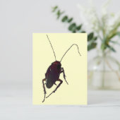 Carte Postale Cockroach croquant (Debout devant)