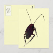 Carte Postale Cockroach croquant (Devant / Derrière)