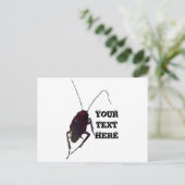 Carte Postale Cockroach croquant (Debout devant)