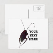 Carte Postale Cockroach croquant (Devant / Derrière)