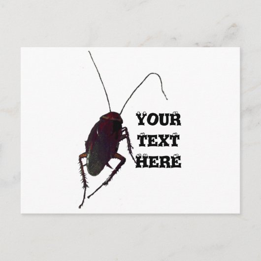 Carte Postale Cockroach croquant (Devant)