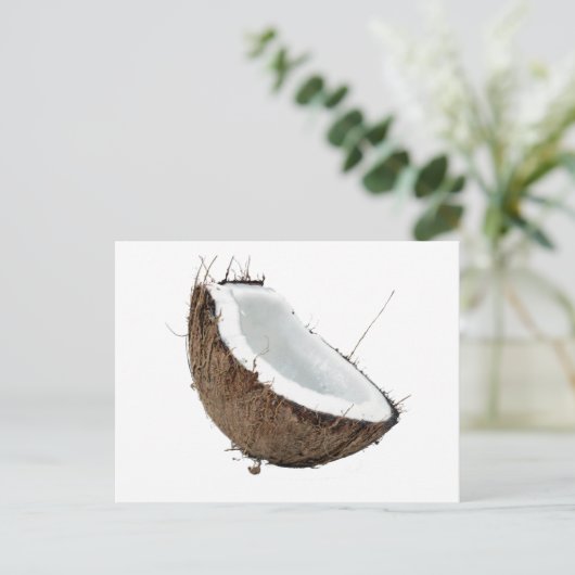 Carte Postale Coco (Debout devant)