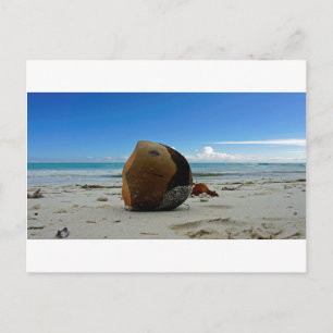 Carte Postale coco caraïbe