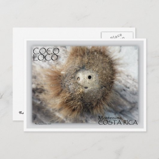 CARTE POSTALE COCO LOCO NUT (Devant / Derrière)