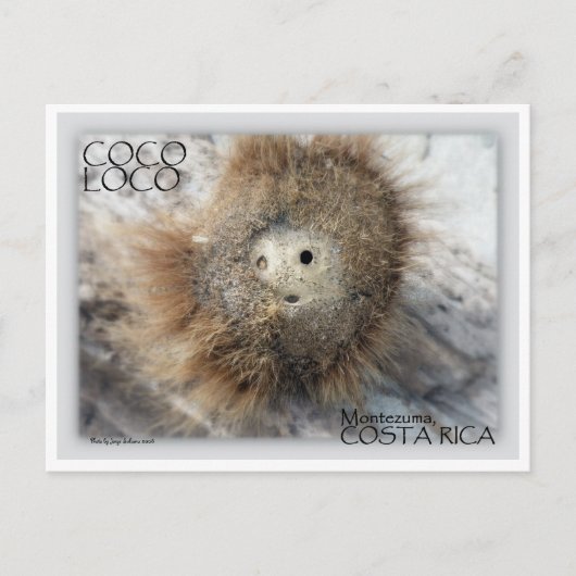 CARTE POSTALE COCO LOCO NUT (Devant)