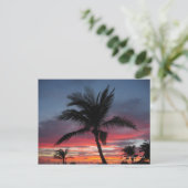 Carte Postale Coco, par Guilian Buhl (Debout devant)