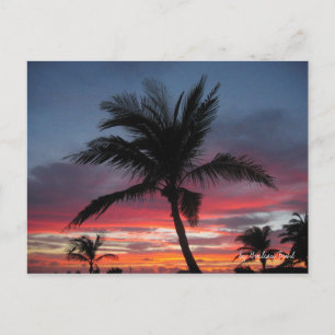 Carte Postale Coco, par Guilian Buhl