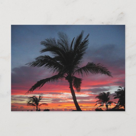 Carte Postale Coco, par Guilian Buhl (Devant)