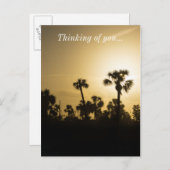 Carte Postale Cocoa Palm Silhouette (Devant / Derrière)