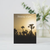 Carte Postale Cocoa Palm Silhouette (Debout devant)
