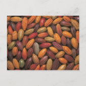 Carte Postale Cocoa pods (Devant)