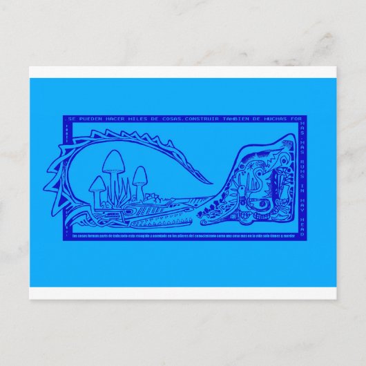 Carte Postale cocodrilo (Devant)