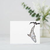 Carte Postale cocon dauphin (Debout devant)