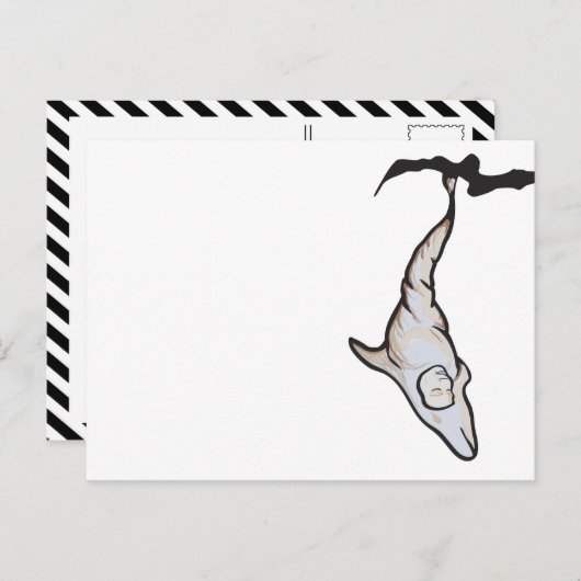 Carte Postale cocon dauphin (Devant / Derrière)