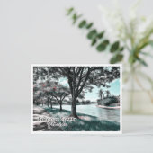 CARTE POSTALE COCONUT CREEK FLORIDA (Debout devant)