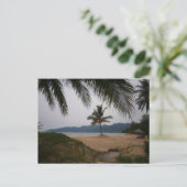 Carte Postale Cocotier (Debout devant)