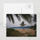 Carte Postale Cocotier (Devant / Derrière)
