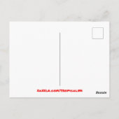 Carte Postale Cocotier Palm Tree Sandy Tropical Island Beach (Dos)