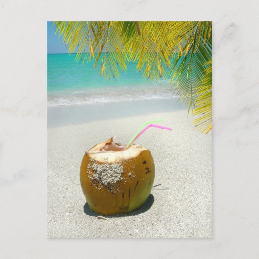 Carte Postale Cocotier tropical sur une plage des Caraïbes (Devant)