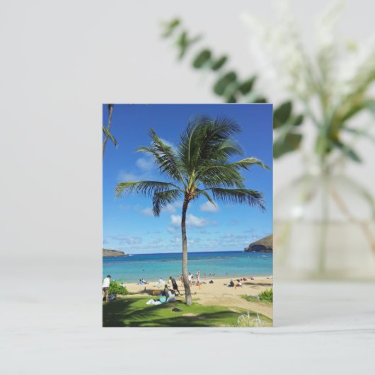 Carte Postale Cocotiers (Debout devant)