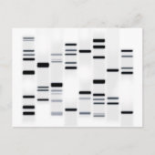 Carte Postale Code ADN noir sur blanc (Devant)