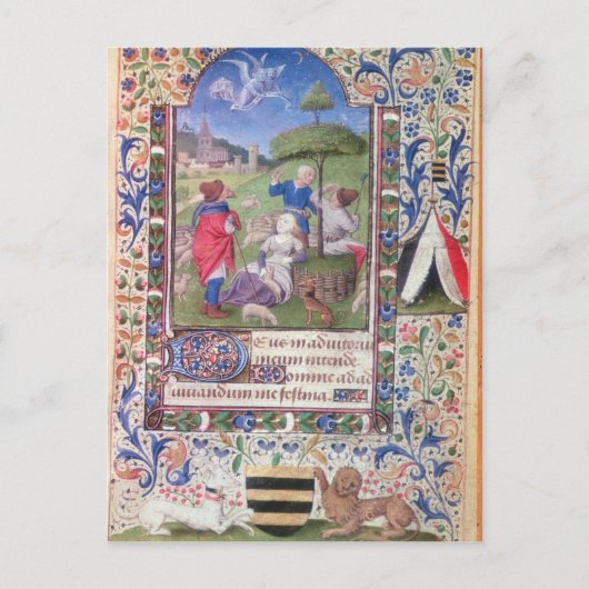 Carte Postale Codex 1929, f. (Devant)