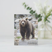 Carte Postale Codiak Bear Standing on a Rock (Debout devant)