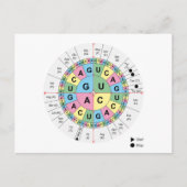 Carte postale Codons Amino Acids Graphique Code gé (Devant)