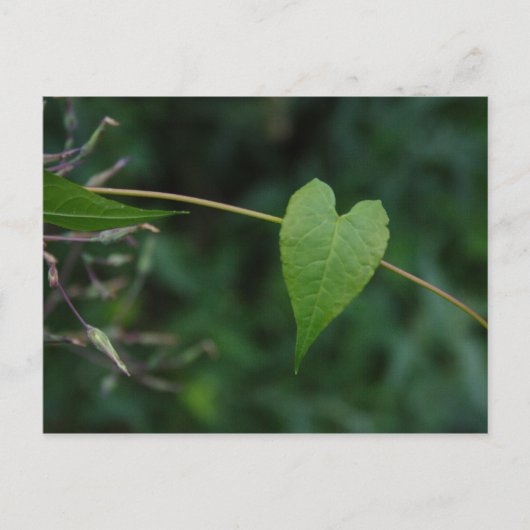 Carte Postale coeur (Devant)