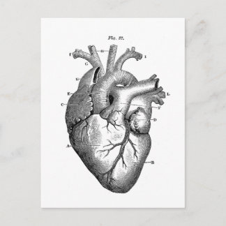 Carte Postale Coeur anatomique noir