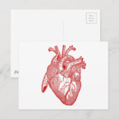 Carte Postale Coeur Anatomique Rouge (Devant / Derrière)