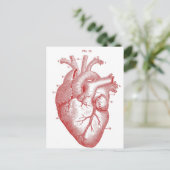 Carte Postale Coeur anatomique rouge (Debout devant)